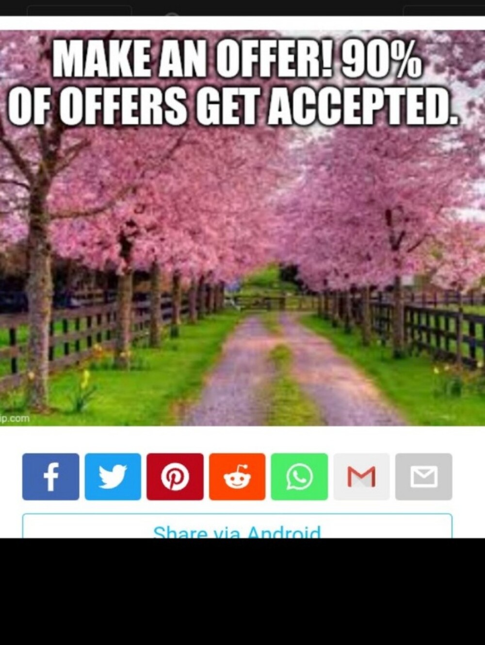 Offers Accepted!